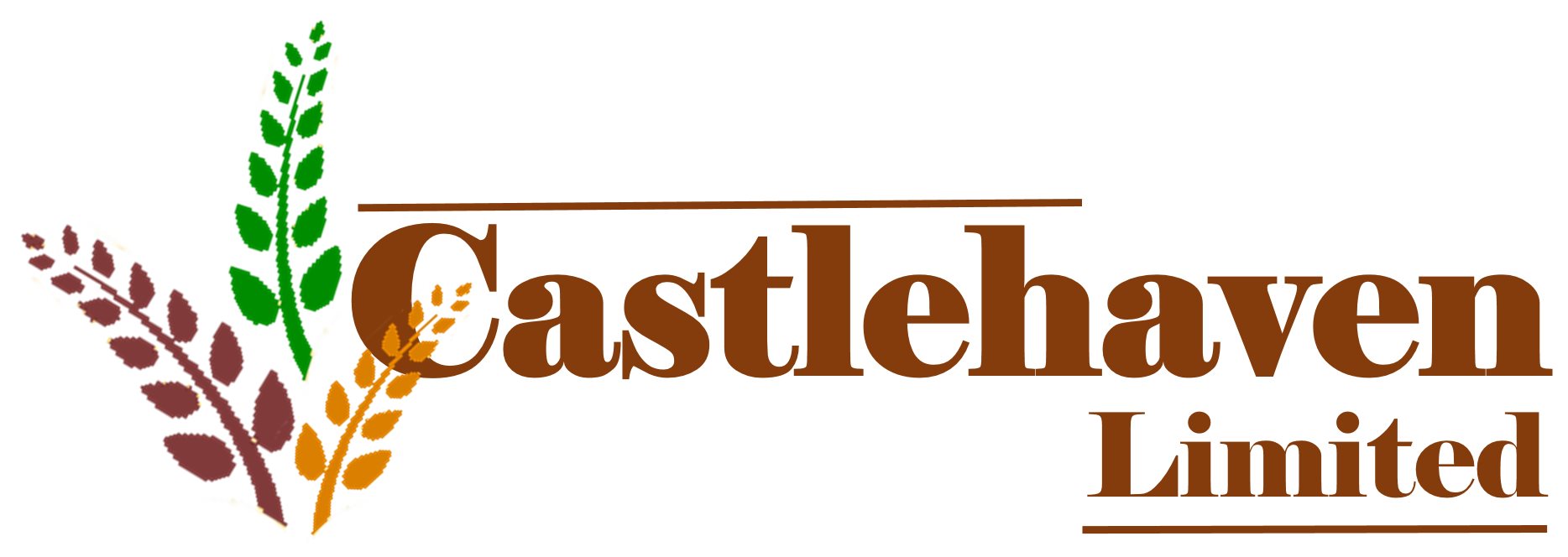 www.castlehavenltd.co.uk